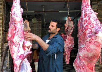 الجزارين يشتكون من الركود