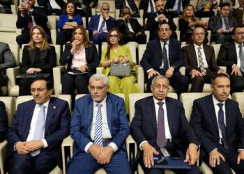 الدكتور إسماعيل عبد الغفار إسماعيل يشارك في أعمال الدورة الوزارية الـ 118 للمجلس الاقتصادي والاجتماعي لجامعة الدول العربية بالقاهرة