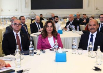 د. منال عوض تطلق منظومة IDEIA