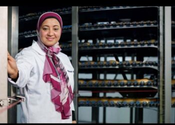 قطاع المشروعات الصغيرة يحصل علي تمويل جديد يفتح بابا أوسع