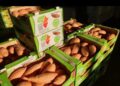 بطاطا مصرية تفتح طريقا جديدا إلى فرنسا