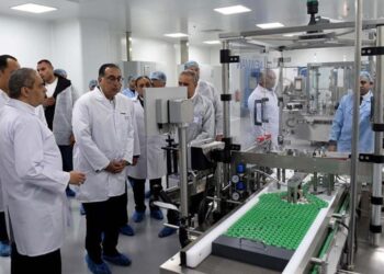 مصر تبحث عن صناعة بعلامة تجارية محلية.