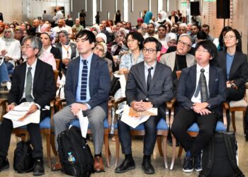 المتحف المصري الكبير يحتفي بـ20 عامًا من التعاون مع اليابان في حفظ التراث