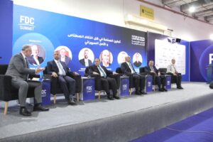 مساعد وزير الصناعة يعرض رؤية تحديث الصناعة