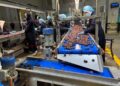 الغذاء المصري يوسع خريطته التصديرية