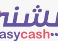شركة كيشني للمدفوعات الإلكترونية