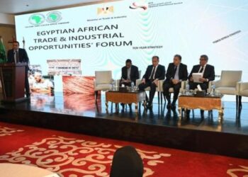 مصر تجهز صندوقا جديدا لتمويل استثمارات الشركات في أفريقيا