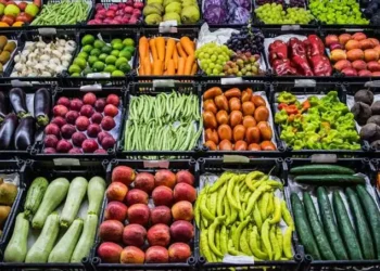 أسعار الخضار فى الأسواق اليوم الخميس ١٧ سبتمبر ٢٠٢٦