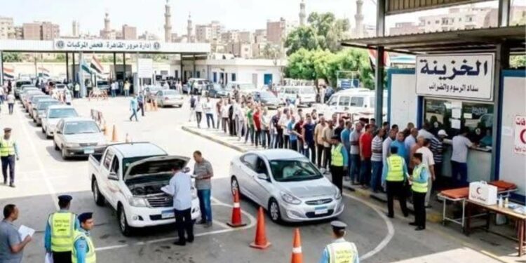 تراخيص السيارات في مصر
