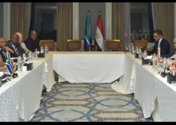 مصر وجنوب أفريقيا تطلقان مجلس أعمال لتعزيز التجارة والاستثمار