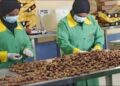 التضخم السنوي في المدن يتراجع إلى 13.9%.. قفزة أسعار الخضروات تعيد الضغوط إلى السوق