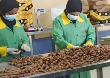 التضخم السنوي في المدن يتراجع إلى 13.9%.. قفزة أسعار الخضروات تعيد الضغوط إلى السوق