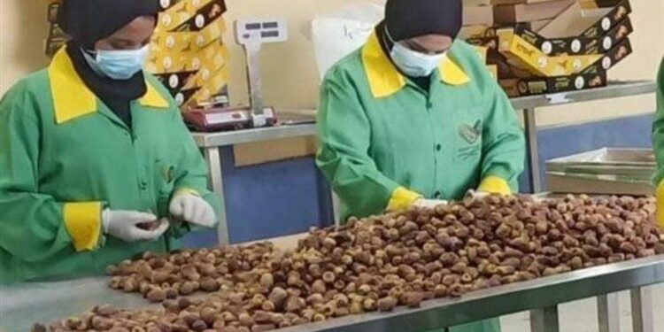 التضخم السنوي في المدن يتراجع إلى 13.9%.. قفزة أسعار الخضروات تعيد الضغوط إلى السوق