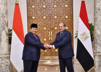 صندوق استثماري مشترك بين مصر وإندونيسيا لتمويل مشروعات استراتيجية