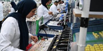 الاستثمار الأجنبي أمام اختبار جديد.. هل تستفيد منه الشركات المصرية؟