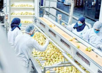 10 مليارات جنيه لصندوق صناعي جديد لدعم الشركات المصدرة