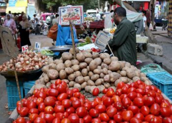 التضخم الحضري في مصر يتراجع إلى 13.9 بالمئة رغم استمرار ضغوط أسعار الغذاء
